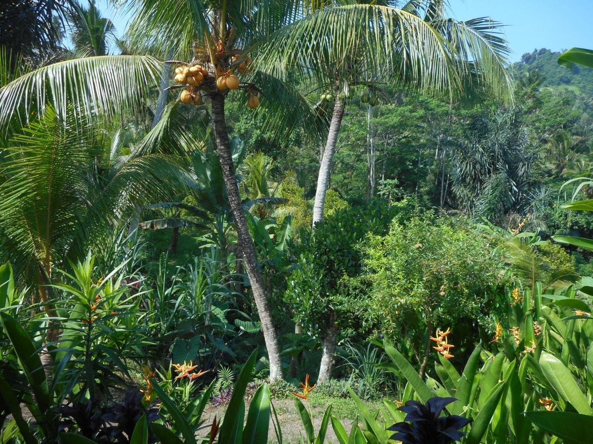 Cegeng Lestari Guesthouse Sidemen  Esterno foto