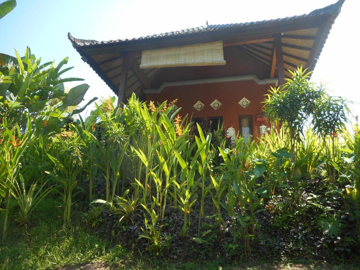 Cegeng Lestari Guesthouse Sidemen  Esterno foto