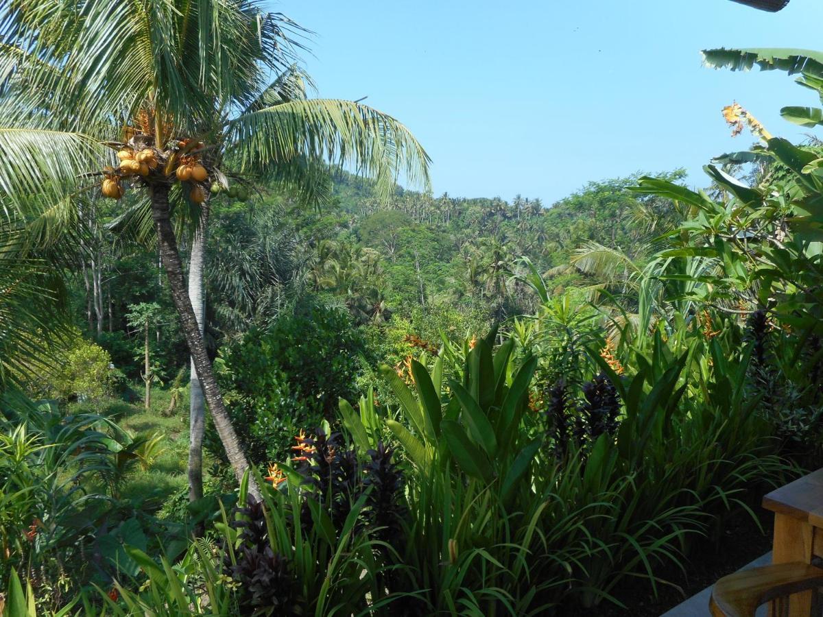 Cegeng Lestari Guesthouse Sidemen  Esterno foto