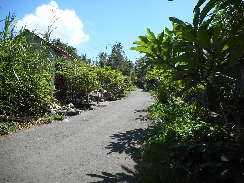 Cegeng Lestari Guesthouse Sidemen  Esterno foto